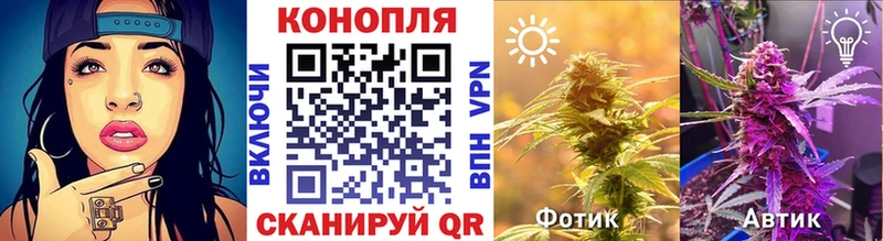 Бошки марихуана индика  Дыгулыбгей 